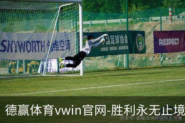 德赢体育vwin官网-胜利永无止境公司简介